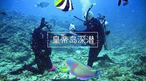 尽享知识星球现代伊兰特2005年1月份上牌13万公里多少钱,拓展你的学习视野!