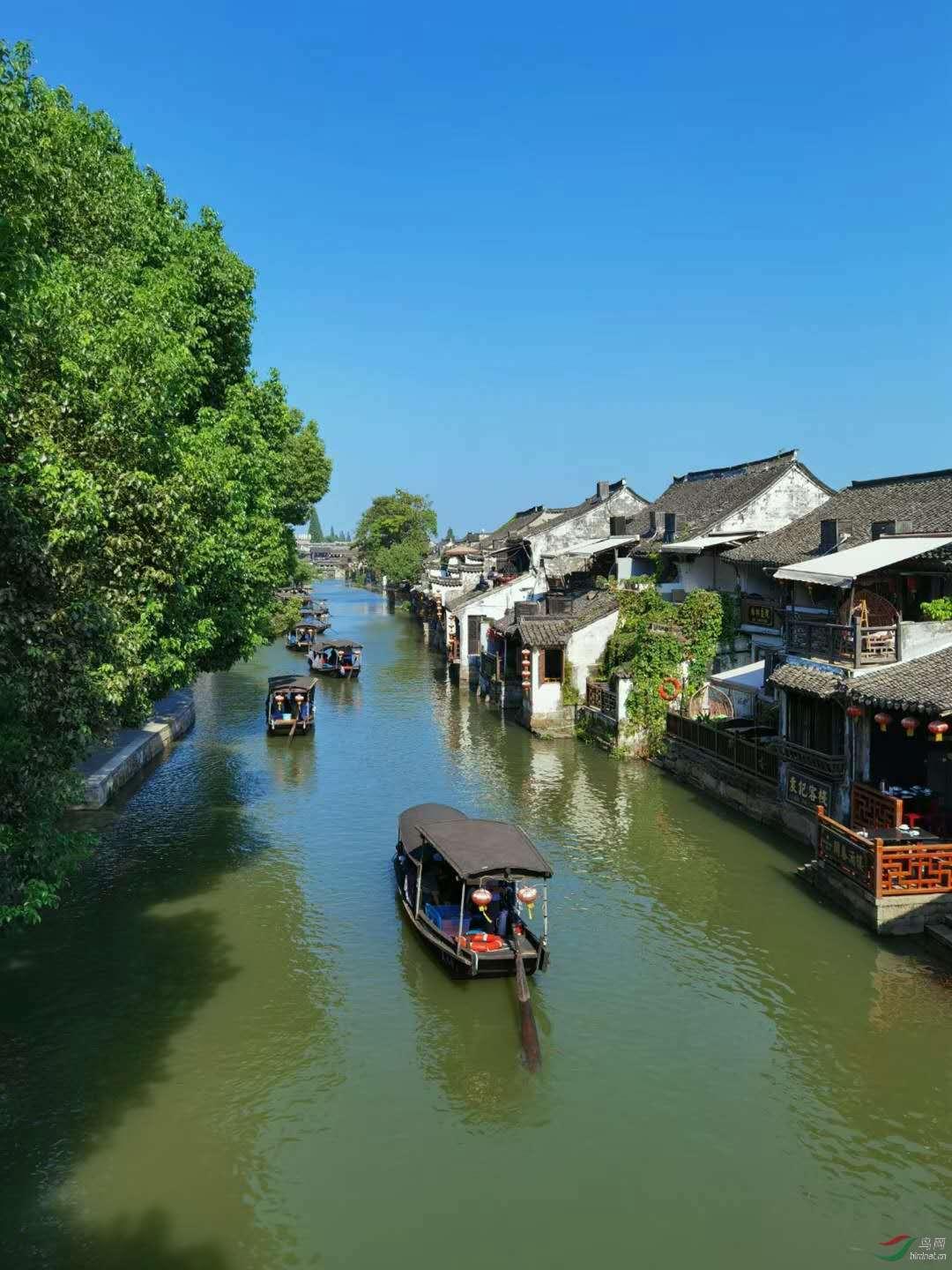 探索知识星球平台,加入为什么我用爷爷的身份证玩吃鸡一直要人脸识别?的行列